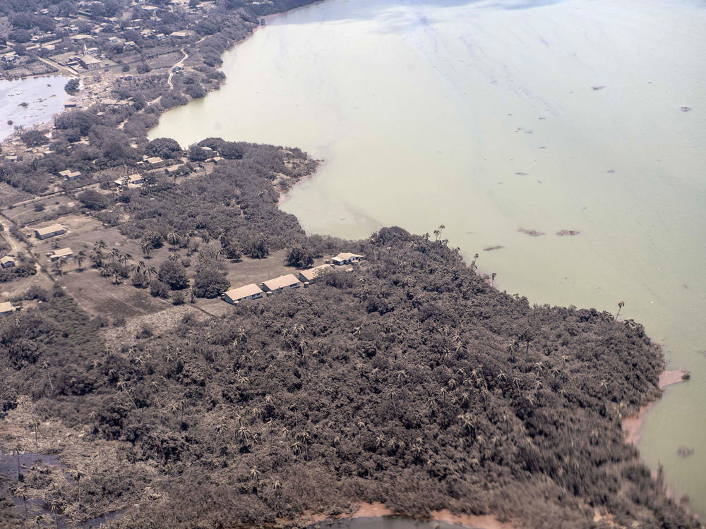 Volcanic ash covers rooftops and vegetation in an area of Tonga last week. Thick ash on an airport runway was delaying aid deliveries to the Pacific island nation, where significant damage was reported.