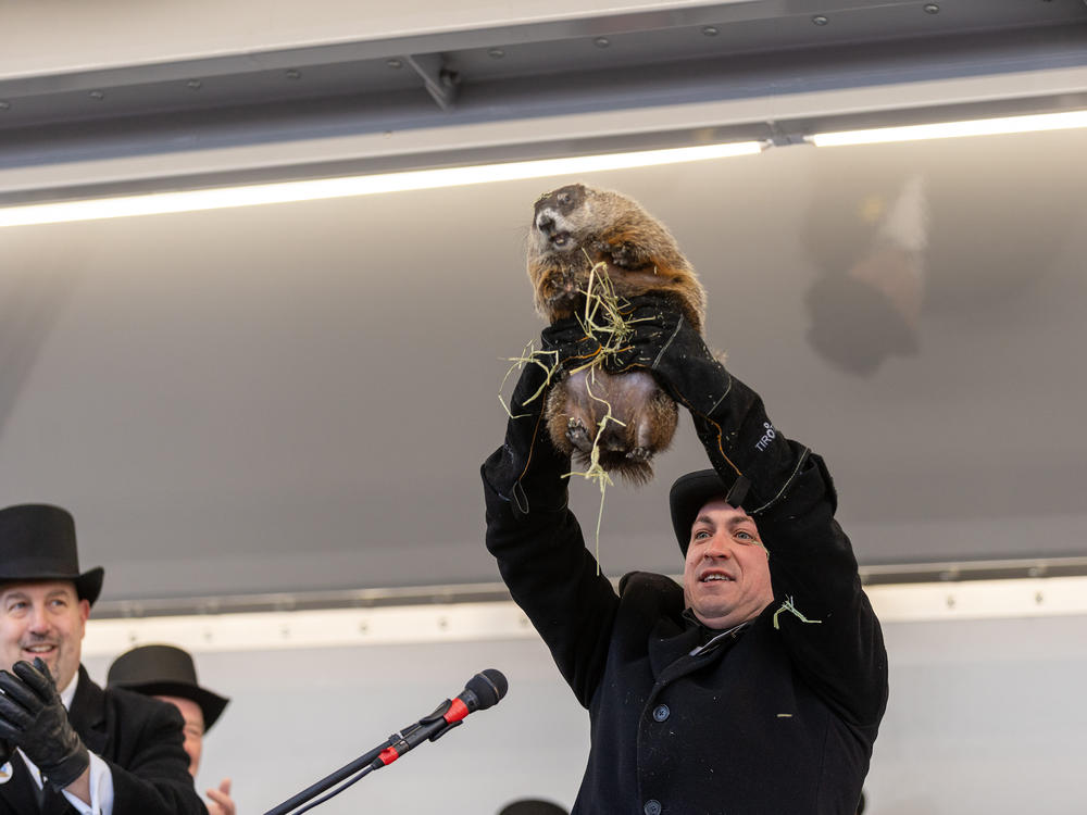 Milltown's popular Groundhog Day festivities are canceled this year, following the death of the local celebrity, who for the last several years has been given the task of predicting whether there will be an early spring or six more weeks of winter.