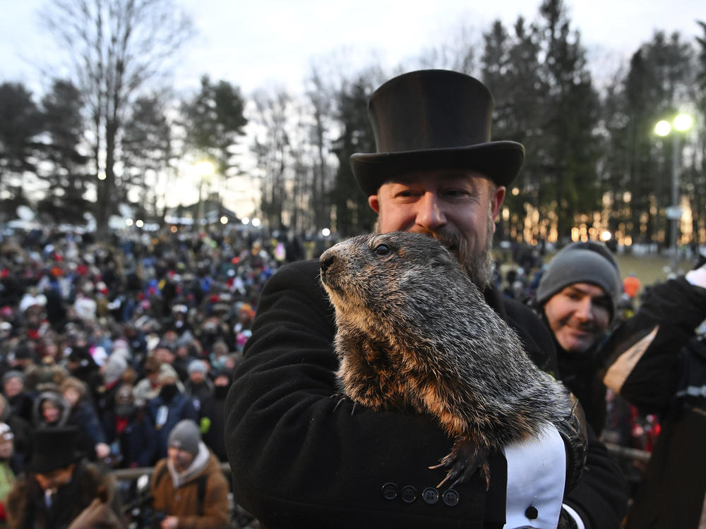 Groundhog Club handler A.J. Dereume holds Punxsutawney Phil, the weather prognosticating groundhog, Wednesday during the 136th celebration of Groundhog Day on Gobbler's Knob in Punxsutawney, Pa.