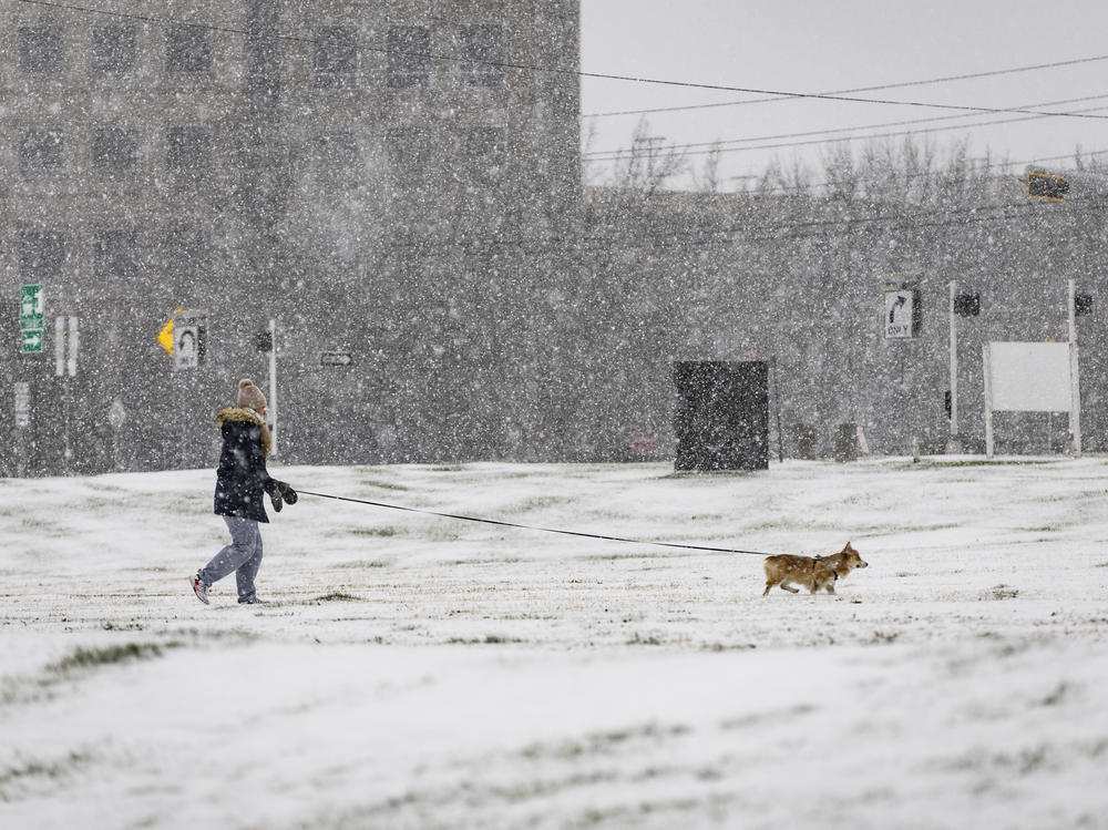 Kristin Matuszak walks her dog in the snow on Thursday in Dallas.