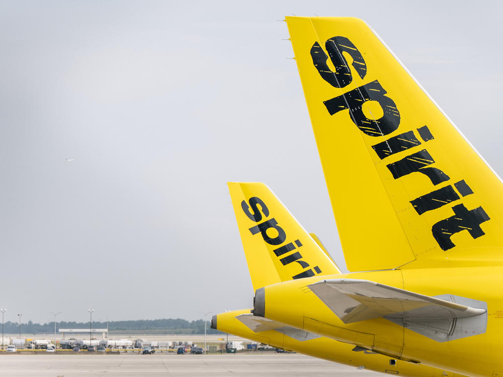 Spirit Airlines aircraft are seen at the George Bush Intercontinental Airport last year in Houston.
