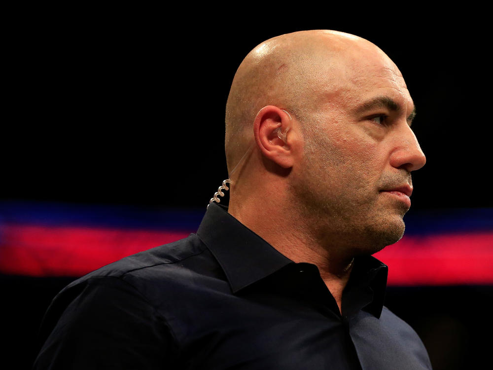 Podcaster and comic Joe Rogan, who also serves as a mixed martial arts commentator, looks on at a UFC fight in 2015.