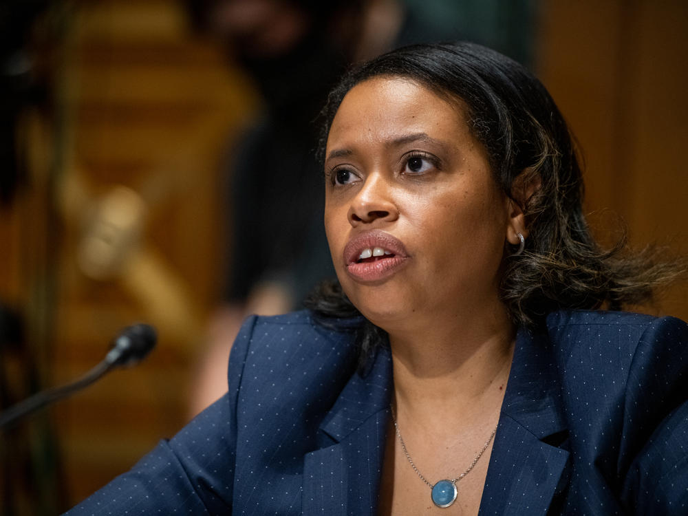 CMS Administrator Chiquita Brooks-LaSure, pictured in 2021, said 