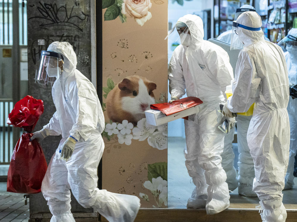 Workers with Hong Kong's Agriculture, Fisheries and Conservation Department remove small animals from a pet store after hamsters tested positive for the coronavirus.