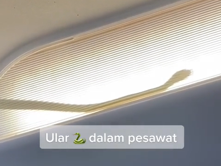 An AirAsia flight was diverted Thursday after passengers spotted a snake in an overhead light.