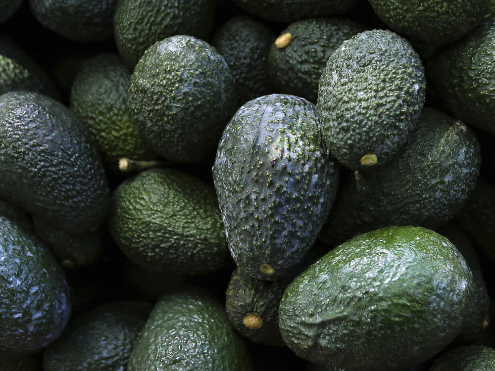 Mexico acknowledged late Saturday that the U.S. government suspended all imports of Mexican avocados after a U.S. plant safety inspector in Mexico received a threat.