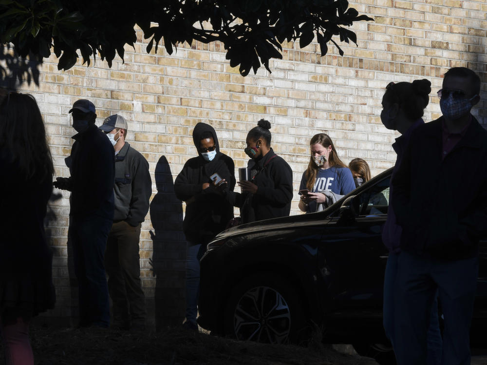 Voters wait in line to cast their ballots in the 2020 election on Nov. 3, 2020, in Auburn, Ala.