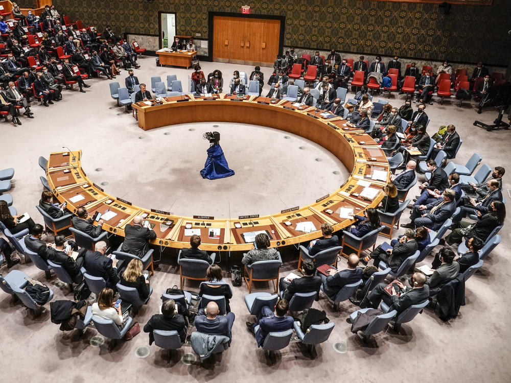 Russia was the only country to veto the non-binding resolution voted during Friday's United Nations Security Council meeting.