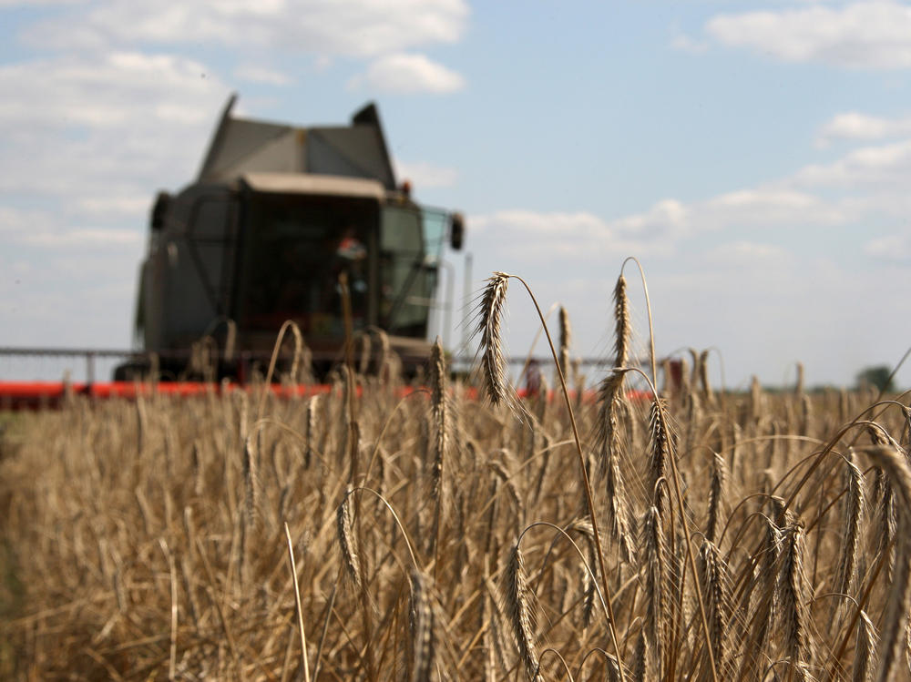 A farmer harvests a wheat field about 130 miles north of Kyiv in 2009.