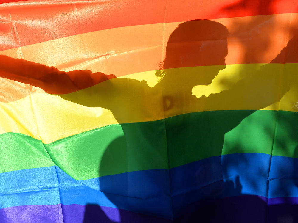 An activist's silhouette is seen through a rainbow flag during a gay pride parade in Kyiv on May 25, 2013.
