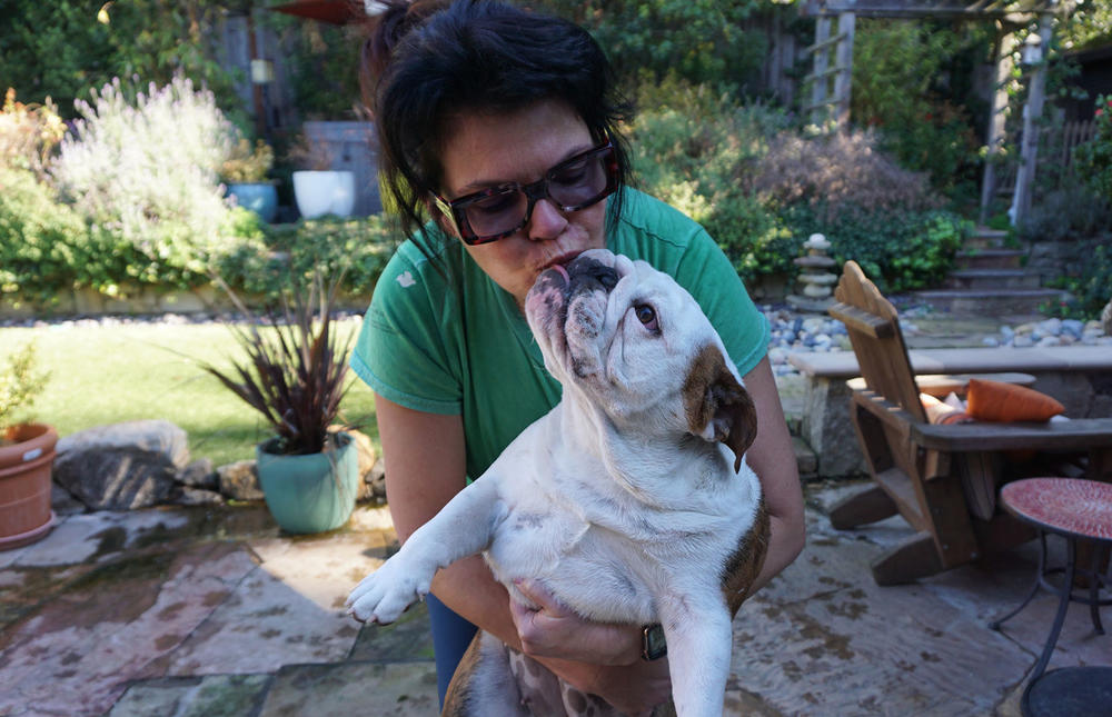 Colleen Thilgen has three bulldogs at her home in Oakland, Calif. and says due to their health issues, bulldogs require an involved owner.