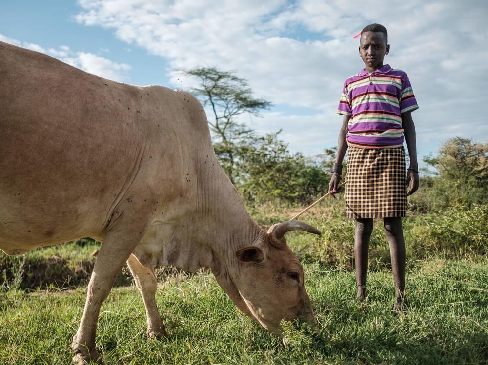 A girl poses for a portrait while standing next to a cow in Nakaprit on Feb. 15, 2020. Nakaprit is home to traditional pastorialists who depend on their cattle for survival and with the threat of locust invasions, locals are worried the vegetation will be destroyed and their cows wont be able to feed.