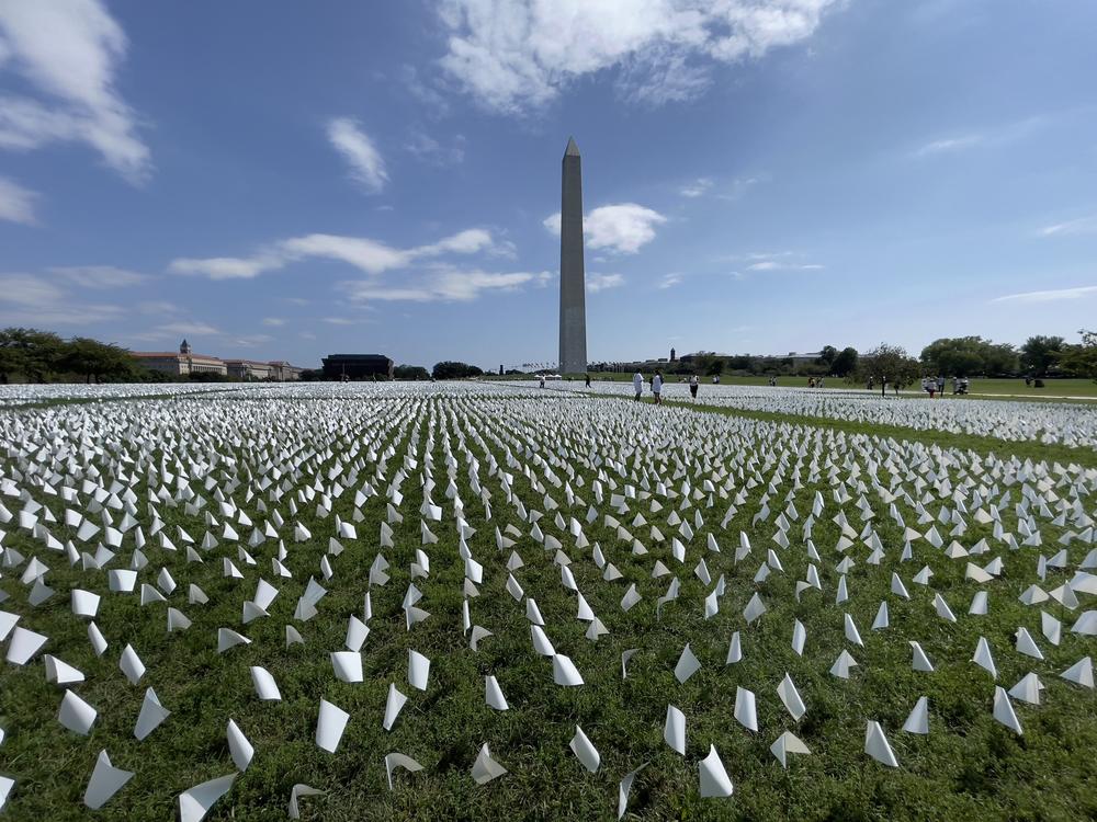 White flags are seen in September 2021 near the Washington Monument in Washington, D.C., as part of a project to memorialize the lives lost to COVID-19 in the United States. Advocates are seeking an enduring memorial.