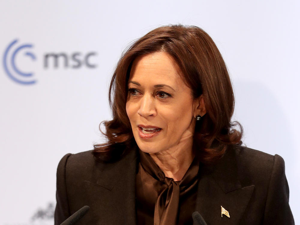 Vice President Harris met with NATO allies last month when she was at the Munich Security Conference.