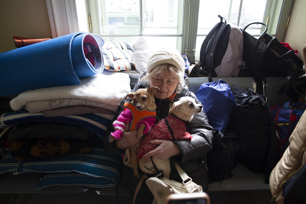 Lana and her two canine companions, Michelle and Layla, escaped intense shelling in Kharkiv, Ukraine.