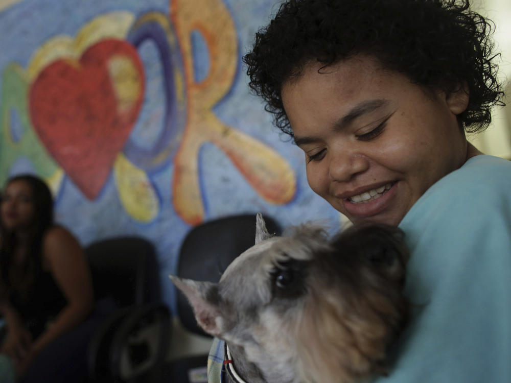 Jaqueline Castro plays with a Schnauzer named Paola at the Support Hospital of Brasilia, Brazil, on Nov. 24, 2016, as part of program set up to help patients with chronic diseases or recovering from trauma.
