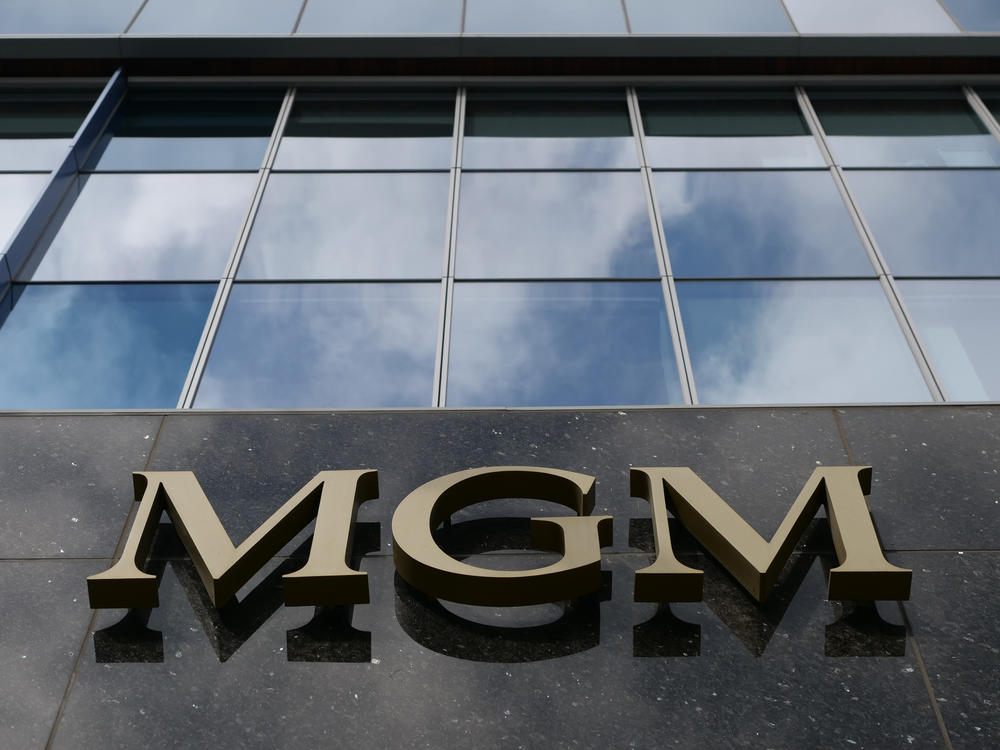 Today, Amazon announced it would purchase the film and television studio, MGM, for $8.45 billion.