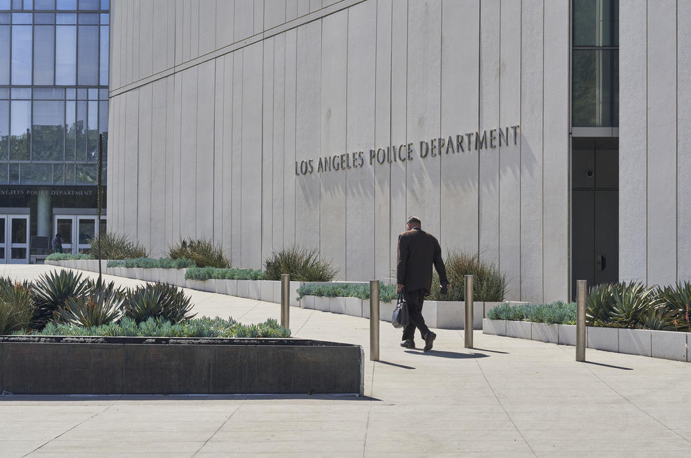 Capt. Stacy Spell says recent protests have occurred against the backdrop of the pandemic and allegations of police misconduct nationwide, as well as in Los Angeles. 