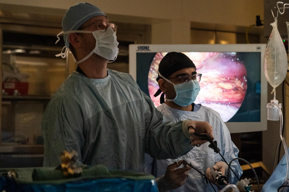 Dr. Mark Hobeika and surgical resident Shri Timdalia remove Lisa Jolivet's kidney during an operation on March 2.