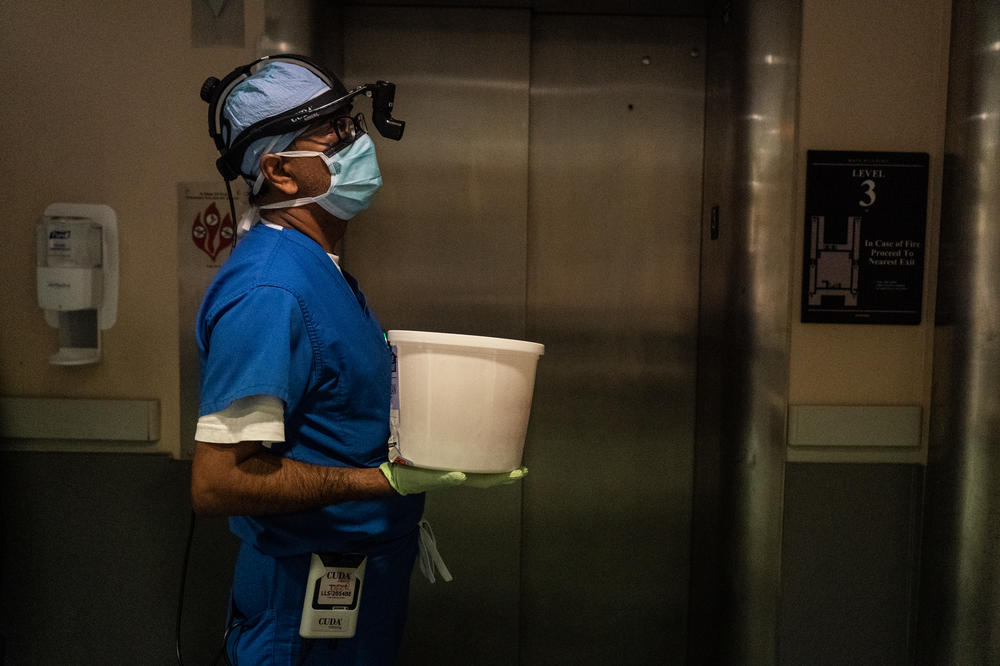 Dr. Hemangshu Podder carries a kidney in a container, which was extracted from Lisa Jolivet.