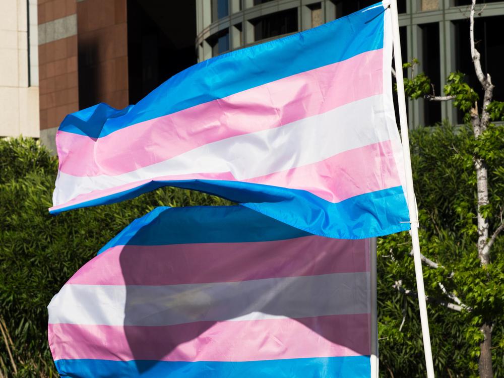 Republican-pushed bills are seeking to deny minors access to hormone therapy and puberty blockers. Both are treatments that have been vetted and peer-reviewed by mainstream medical organizations, including the American Academy of Pediatrics.