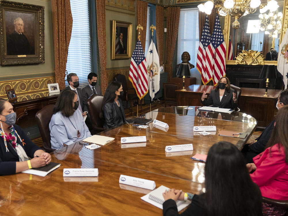 Vice President Harris speaks during a meeting with Native American community leaders about voting rights together with Secretary of the Interior Deb Haaland (left) in July 2021.