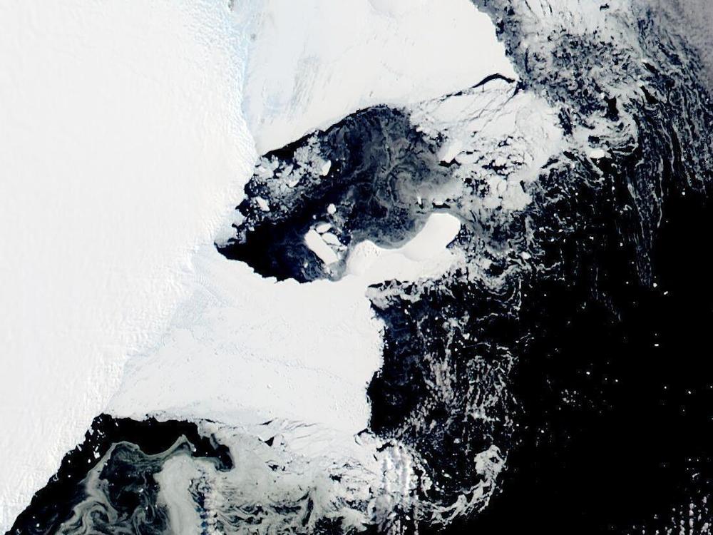This satellite image shows the main piece of C-37 close to Bowman Island. Scientists are concerned because an ice shelf the size of New York City collapsed in East Antarctica, an area that had long been thought to be stable.