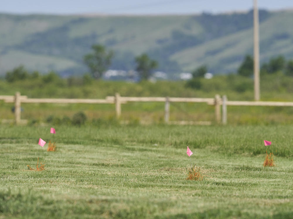 Flags mark the spot where the remains of over 750 children were buried on the site of the former Marieval Indian Residential School in Cowessess first Nation, Saskatchewan, June 25, 2021. More than 750 unmarked graves have been found near a former Catholic boarding school for indigenous children in western Canada.