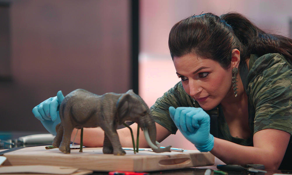 Hemu Basu in episode 7 of <em>Is it Cake? </em>