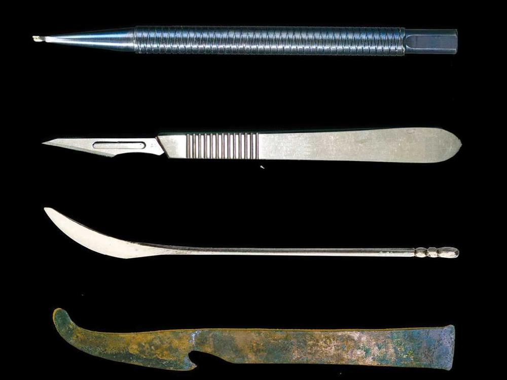 <em>Empire of the Scalpel</em>, by Ira Rutkow