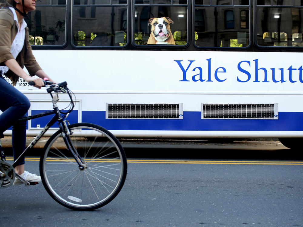 A former Yale University administrator has pleaded guilty to a years-long scheme of stealing electronics ordered for the university and reselling the items. Here, a shuttle drives students around Yale's campus.