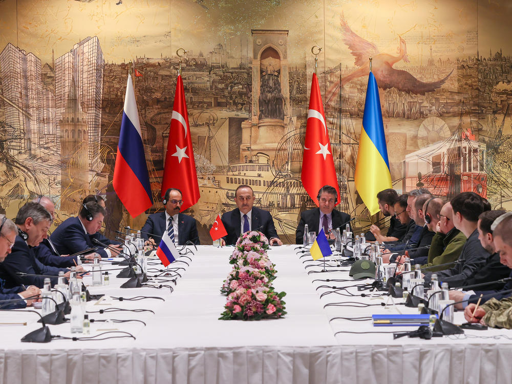 Turkish Foreign Minister Mevlut Cavusoglu speaks during Tuesday's peace talks in Istanbul between delegations from Russia and Ukraine.