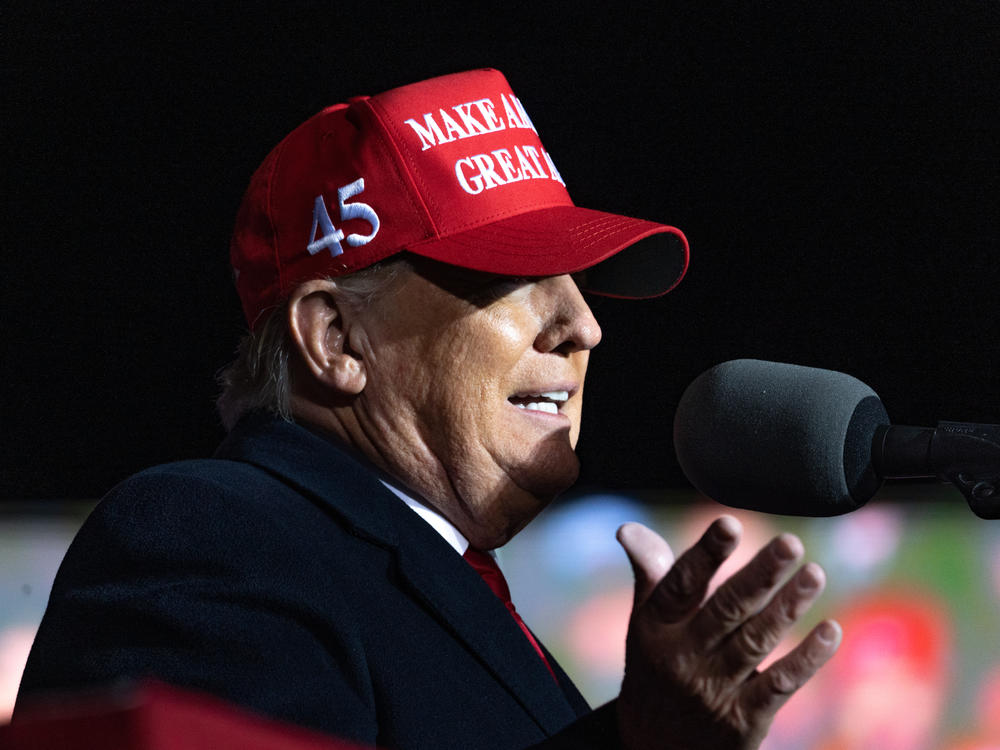 Former President Donald Trump held a rally in Commerce, Ga., last Saturday with candidates he's backing in the state's May primary elections.