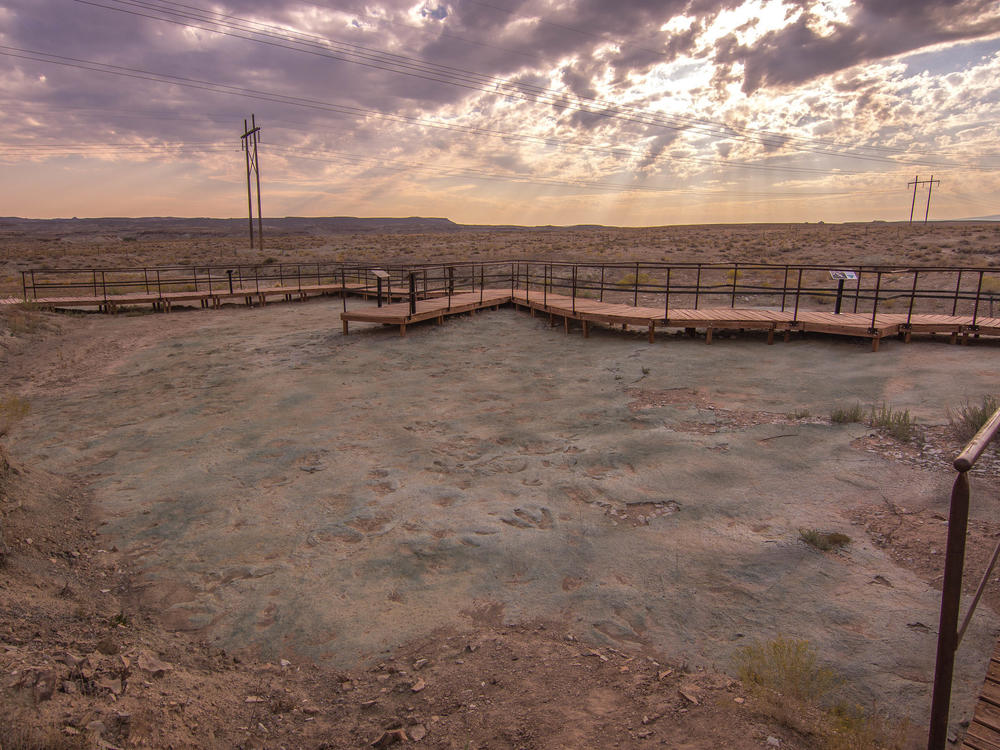 A photo of the the Mill Canyon Dinosaur Tracksite in Moab, Utah. A construction project at the site recently damaged some of the tracks and trace fossils.