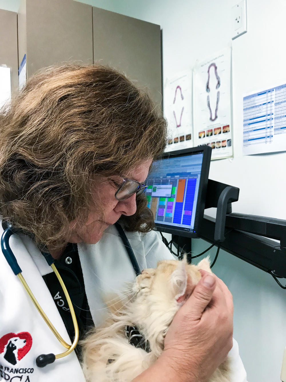Veterinarian Kathy Gervais works 12-hour days, not only caring for animals, but also helping humans emotionally cope with a sick pet.