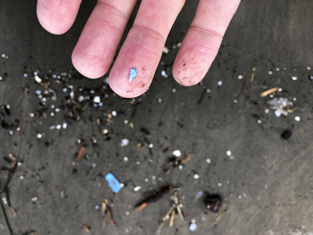 Plastic debris is washed up at Depoe Bay, Ore., on Jan. 19, 2020.