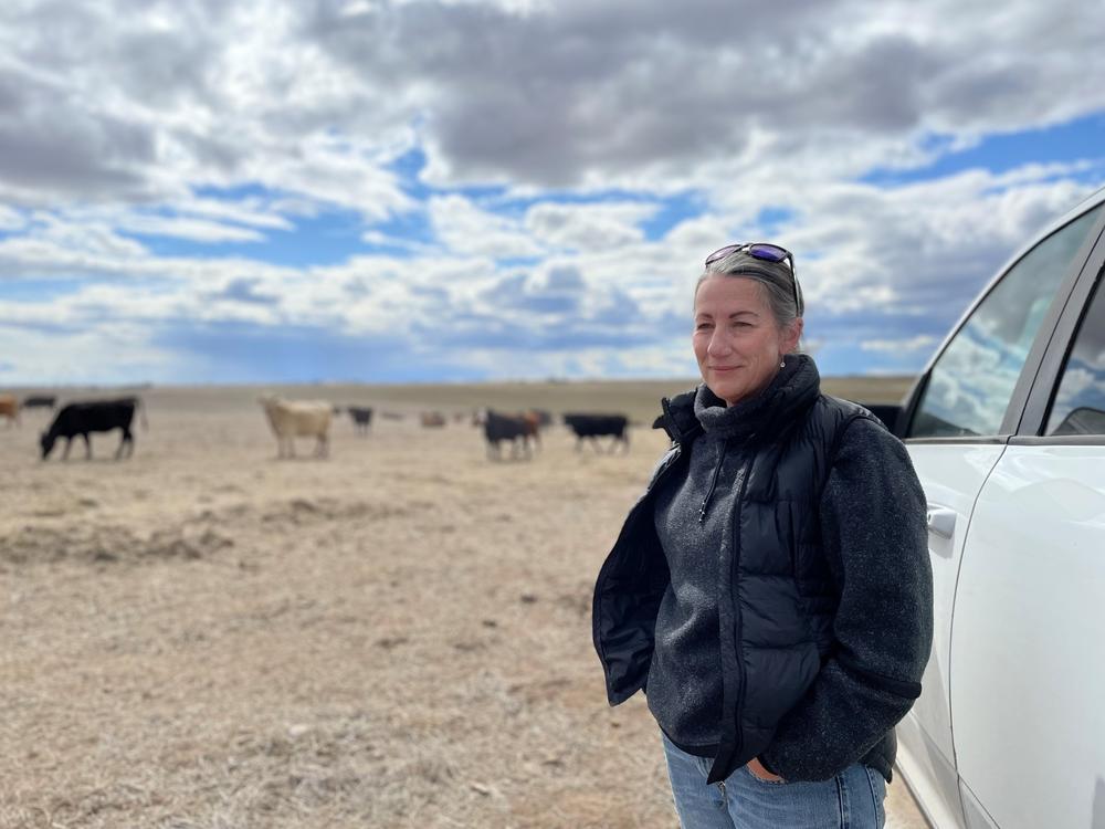 Jennifer Ellis, a rancher and lifelong Republican, helped form Take Back Idaho to push back against extremism in her home state.