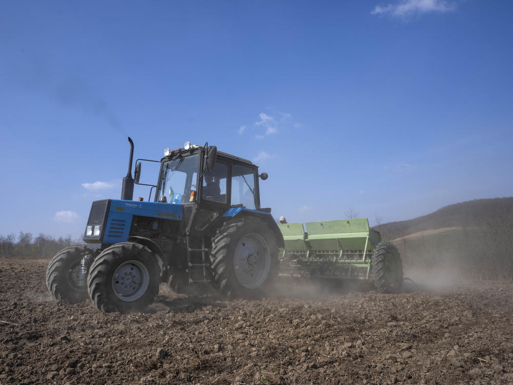 Workers plow wheat in Husakiv village in western Ukraine late last month. Russia and Ukraine account for a large percentage of global wheat exports.