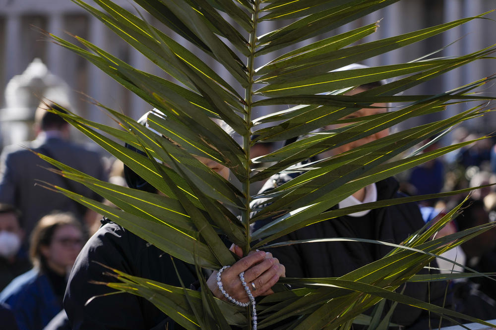 Nuns hold palm tree branches at St. Peter's Square as part of the celebration of the Palm Sunday Mass.