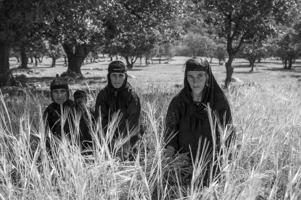 From the right: 22-year-old Marzieh, 25-year-old Golgol and 60-year-old Sangi Jan harvest barley from their field. They'll use it as fodder for their livestock in the coming winter months. Marzieh, who was 8 months pregnant in this photo, told the photographer she felt nauseous from her pregnancy but still did farm work while her husband worked in the city.
