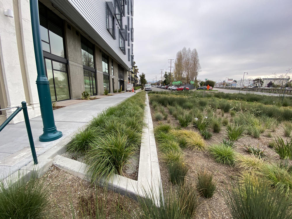 Replacing concrete with green plants, like this project in Emeryville, Calif., can help overwhelmed stormwater systems handle increasingly bigger rainstorms.