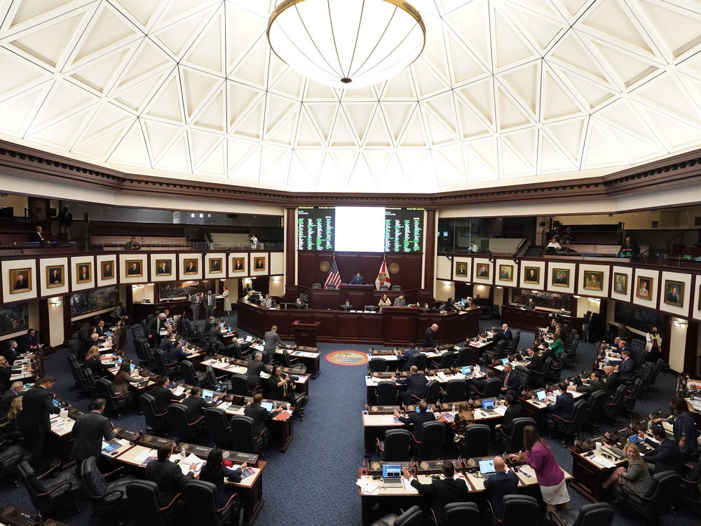 Members of the Florida House of Representatives are seen during a legislative session at the Florida State Capitol on March 7 in Tallahassee.