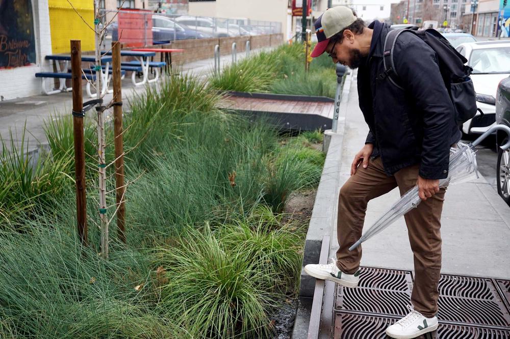 Joshua Bradt looks over a green infrastructure in downtown Oakland. During storms, water from the street and sidewalk is funneled into the rain garden.
