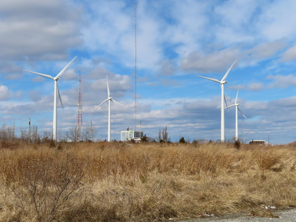 For one day in March, wind generated electricity surpassed coal and nuclear, and became second only to natural gas.