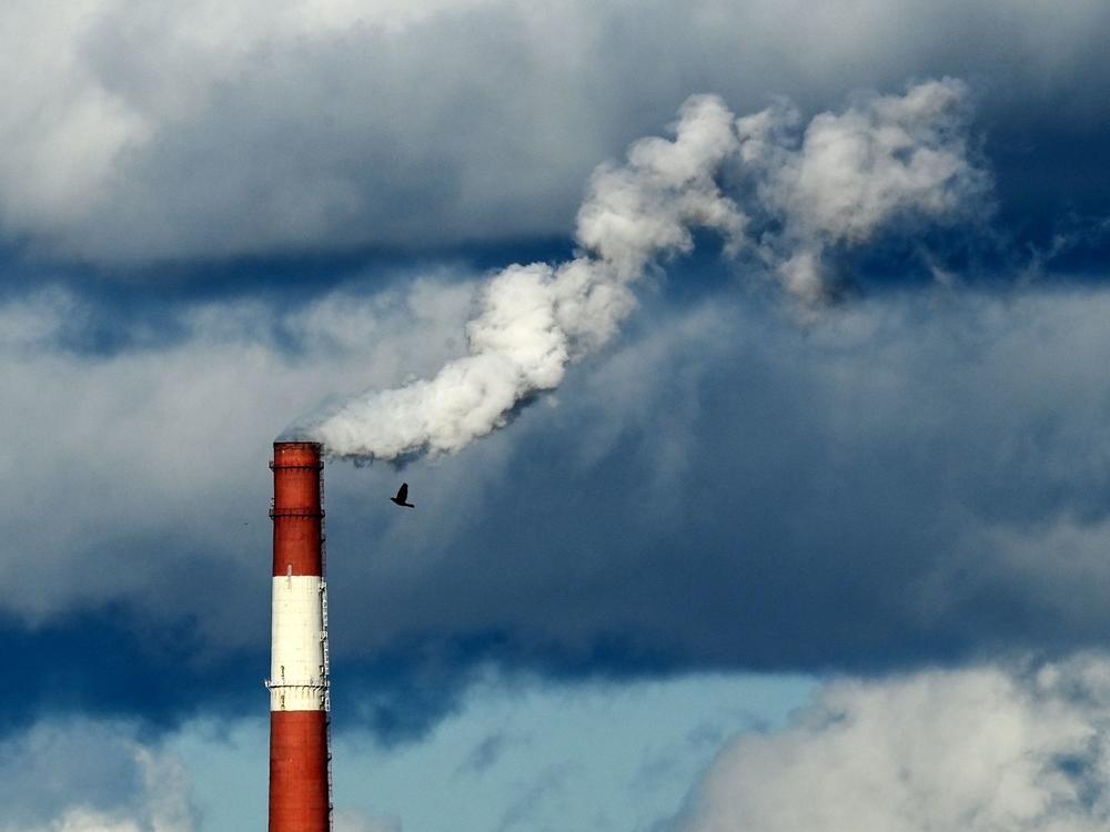 Money from fossil fuels is directly financing Russia's invasion of Ukraine, a leading climate scientist says.
