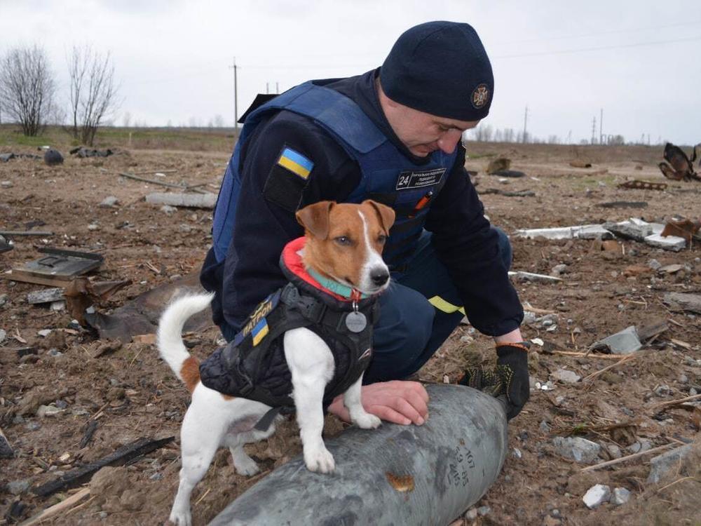 A Ukrainian pyrotechnic squad works alongside Patron, a bomb-sniffing dog.