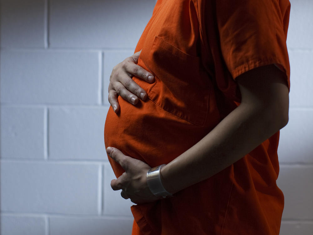 A pregnant female inmate at the Western Massachusetts Regional Women's Correctional Center in Chicopee, Mass., poses for a portrait in the facility's visiting area in 2014.