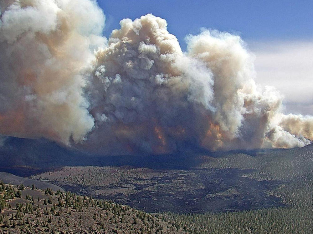 In this photo provided by the Coconino National Forest, the Tunnel Fire burns near Flagstaff, Ariz., on Tuesday, April 19, 2022.