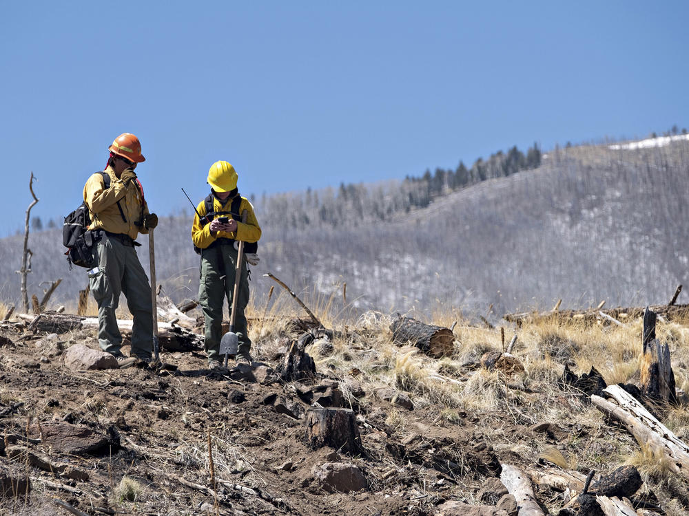 A pair of Resource Advisors from the Coconino National Forest record data in Division Alpha as they work to determine the severity of Tunnel Fires impact on the Forest.