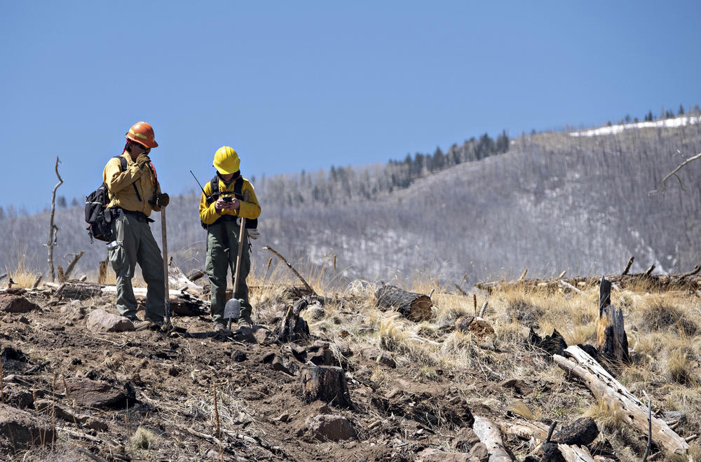 A pair of resource advisers from the Coconino National Forest record data Thursday as they work to determine the severity of the Tunnel Fire's impact near Flagstaff, Ariz.